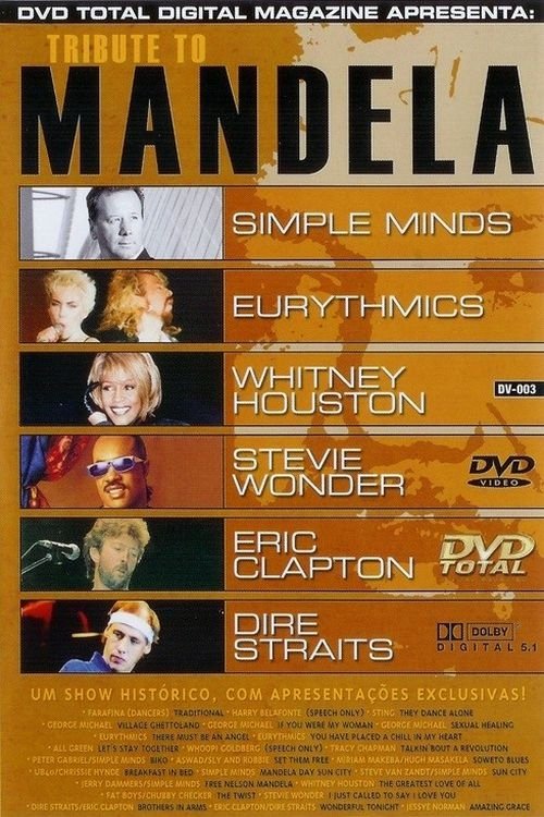 Постер The Nelson Mandela 70th Birthday Concert